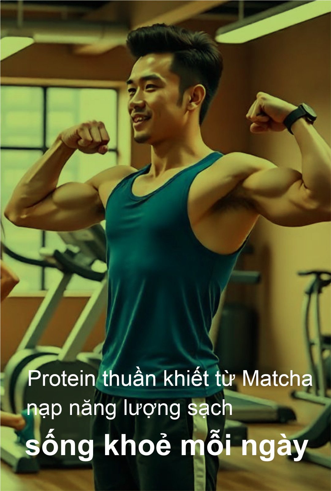 Vietnamese Banner 1