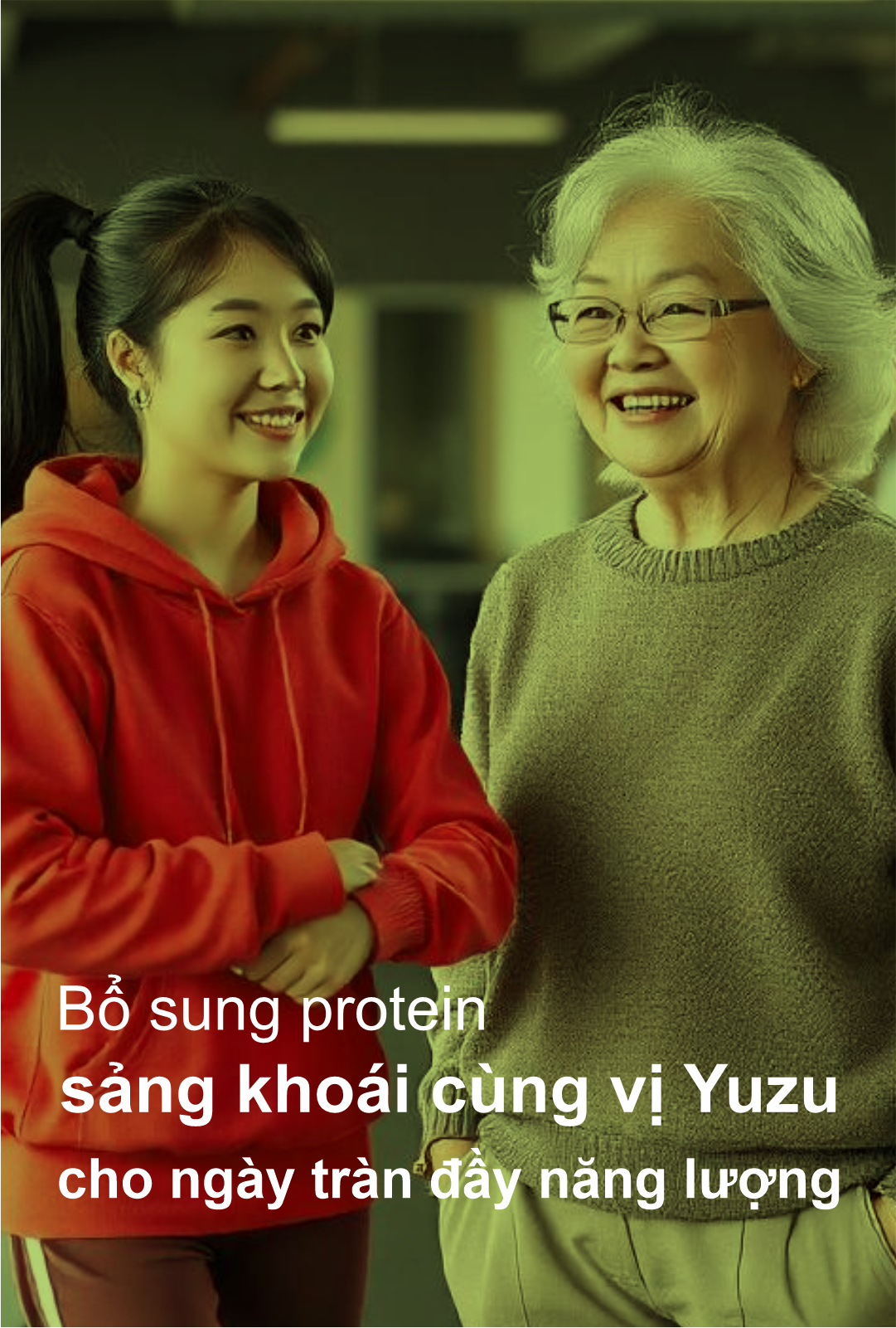 Vietnamese Banner 2