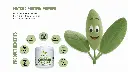 Matcha Product Benefits Image.webp