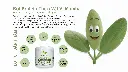 VN Matcha Product Benefits Image.webp